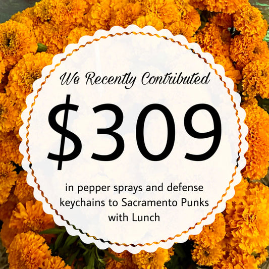 Empowering Safety: Our Latest Contribution to Sacramento Punks with Lunch